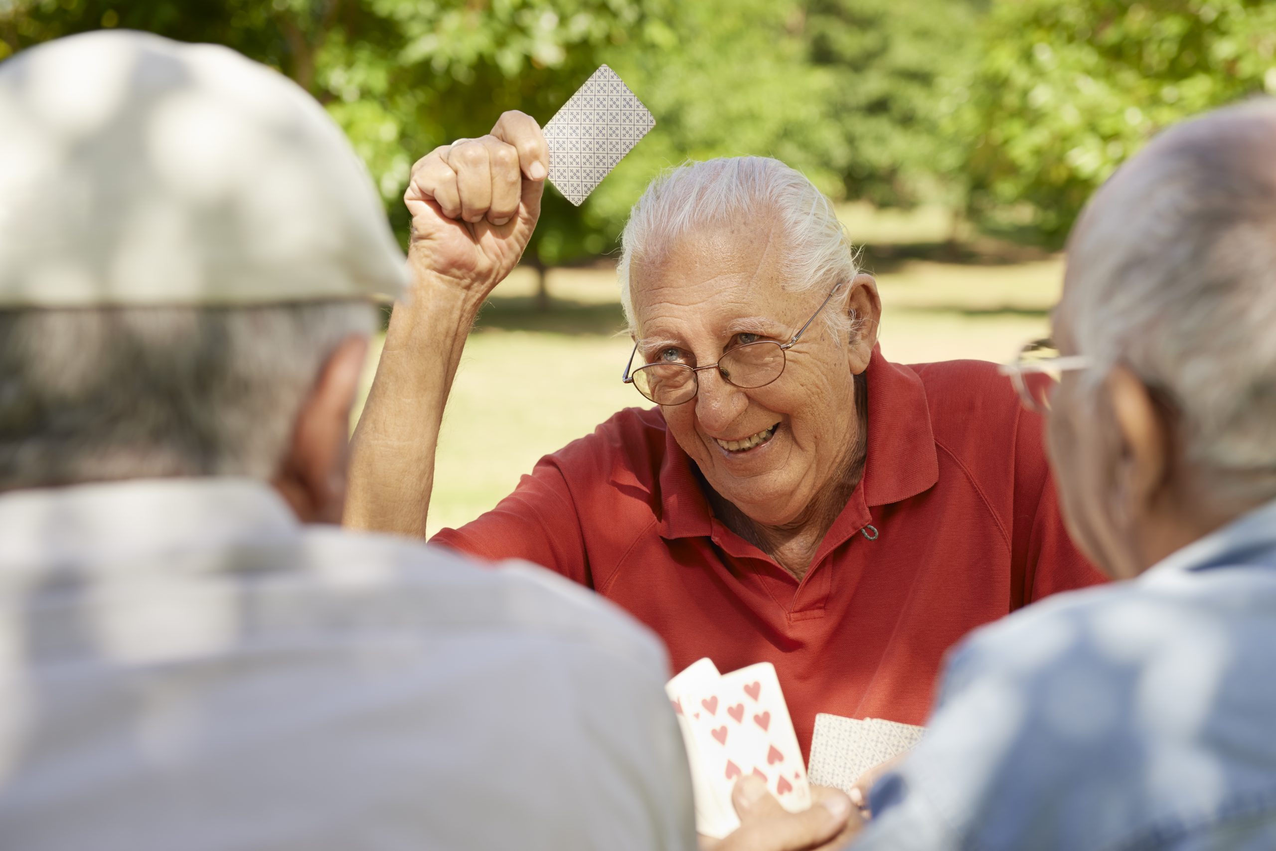 Active Seniors, Group Of Old Friends Playing Cards At Park